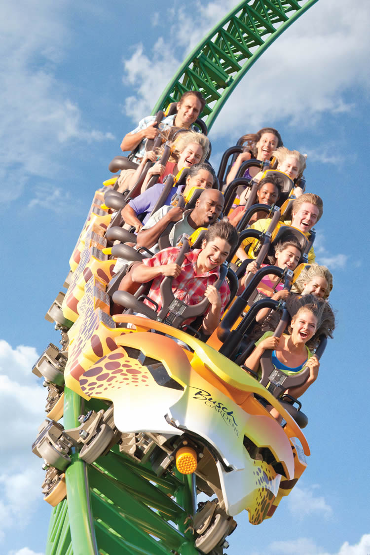 Cheetah Hunt Roller Coaster Busch Gardens